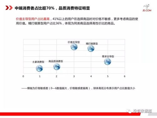 2017京东平台商家成长报告