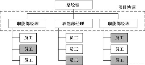 软件项目管理 组织环境与项目管理过程